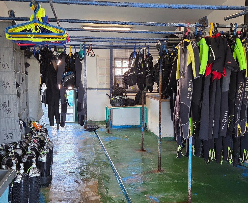 Zeus Dive Center Tenerife-Abades必去景点