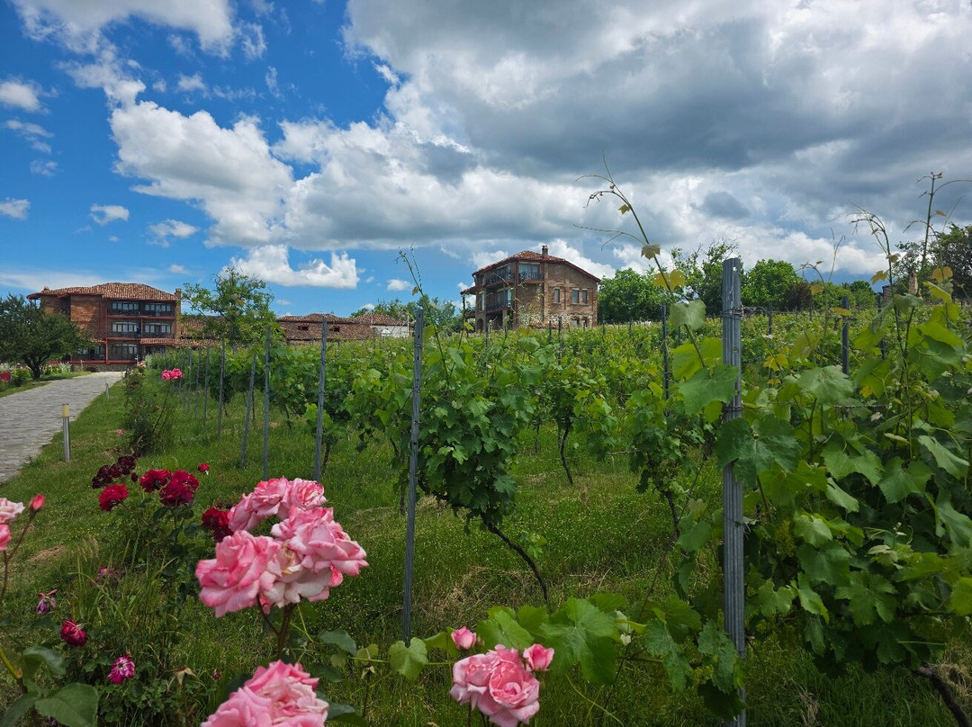 Schuchmann Wines Château,Villas & Spa主图