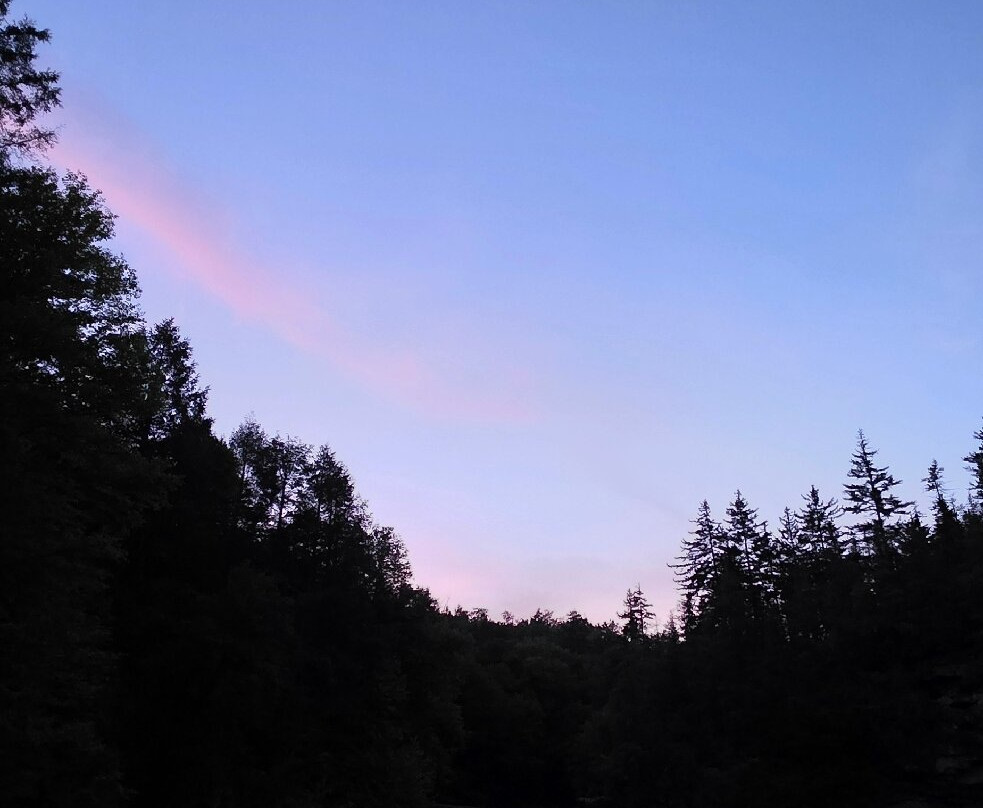 Blackwater Falls State Park-戴维斯必去景点