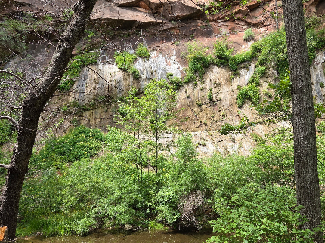 West Fork Oak Creek Trailhead-塞多纳必去景点