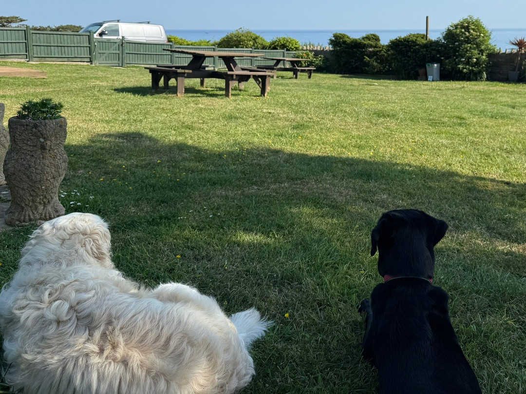 Chesil Beach Lodge主图