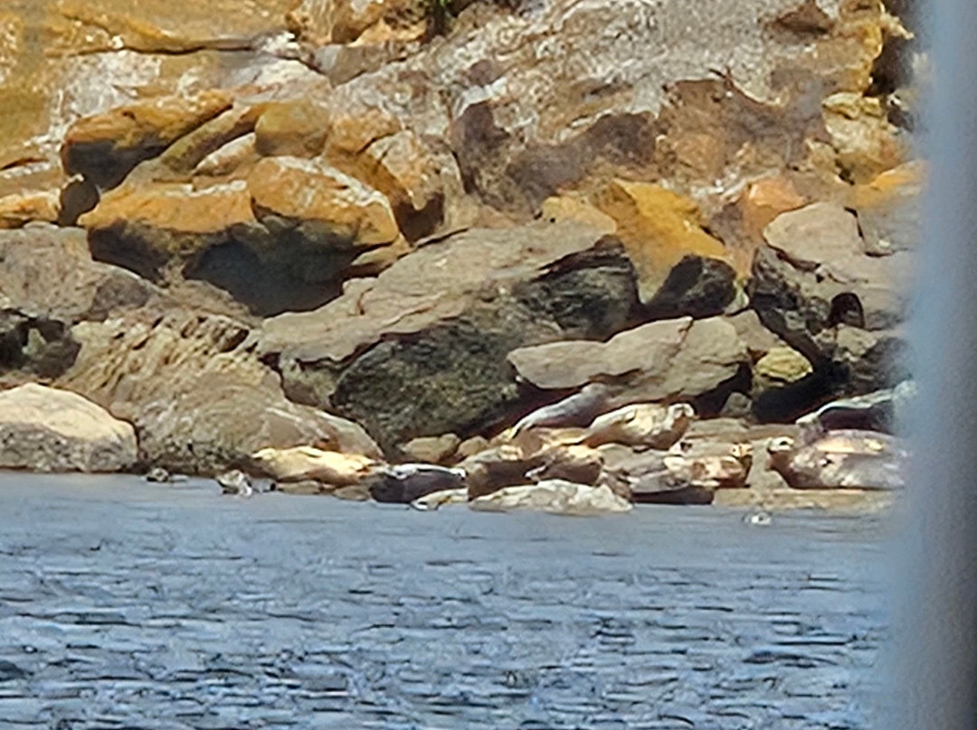 Deer Harbor Charters-Eastsound必去景点