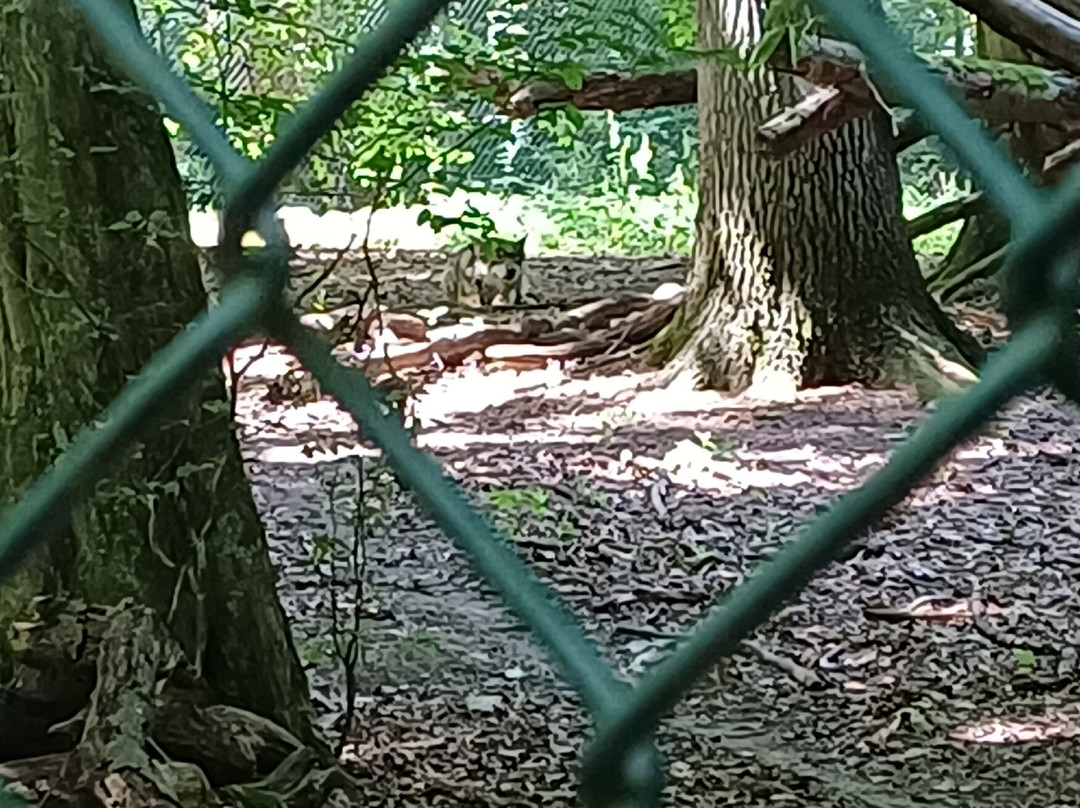 Tierpark Sababurg-Hofgeismar必去景点