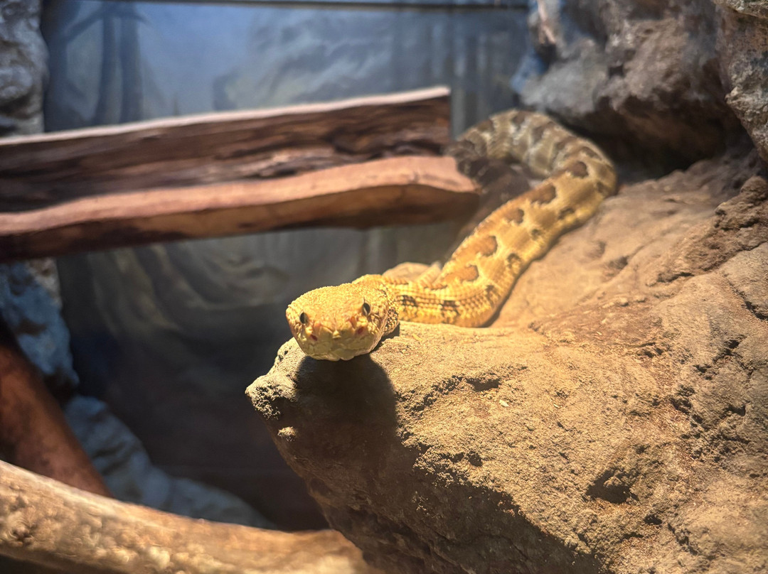 Lehigh Valley Zoo-Schnecksville必去景点
