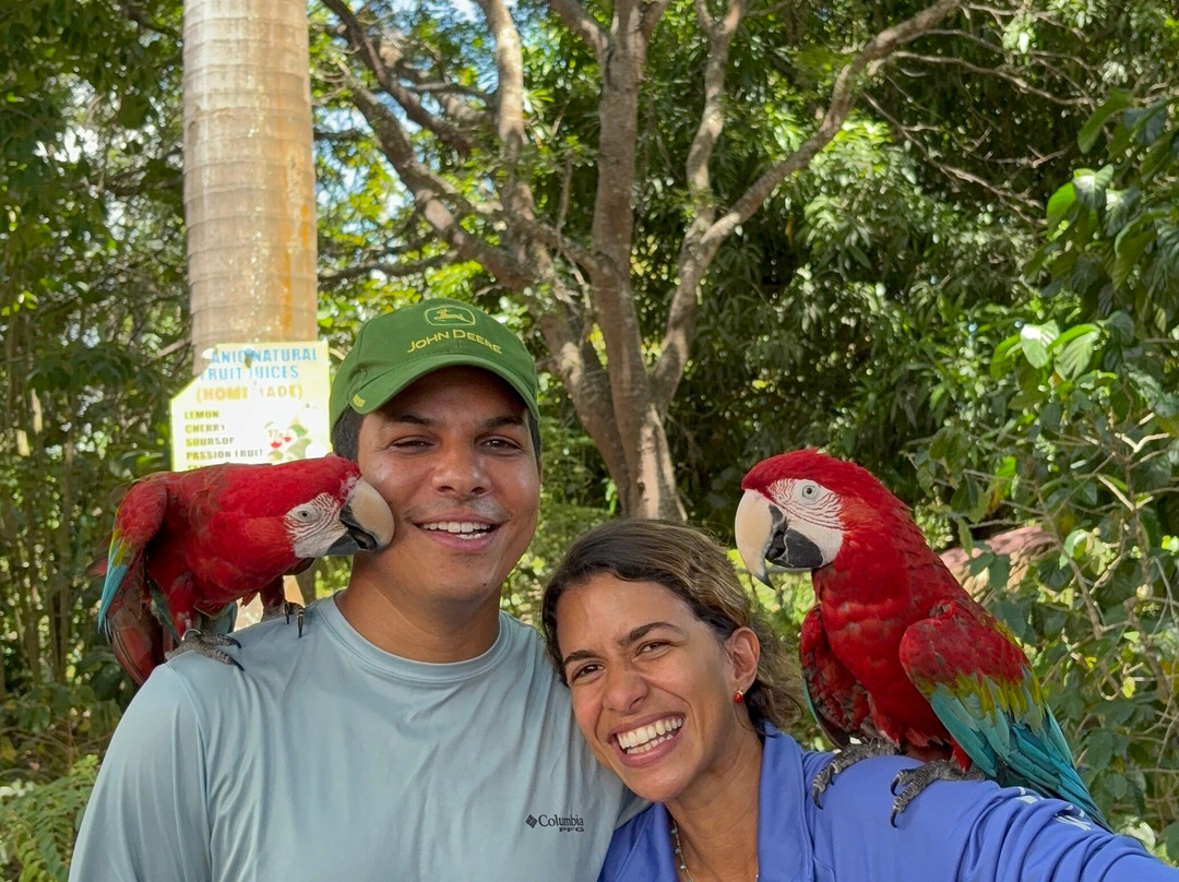 Monkey Home Puerto Plata-普拉塔港必去景点