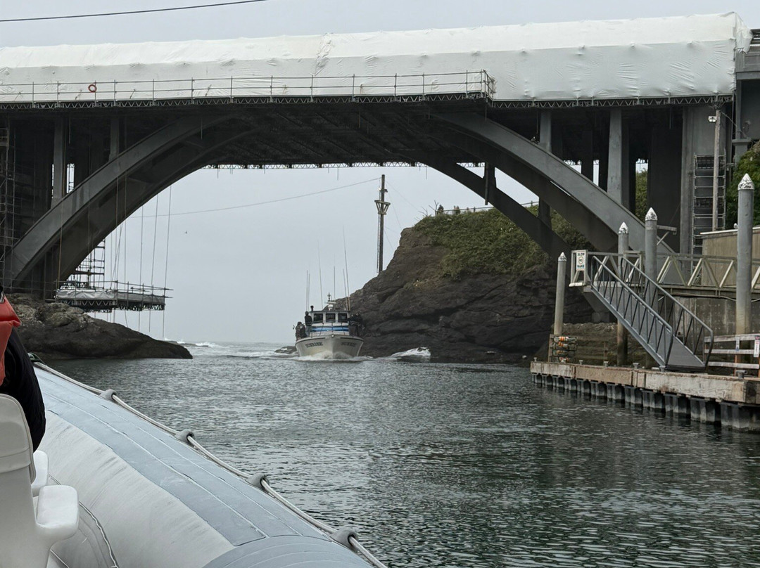Whale Research EcoExcursions-Depoe Bay必去景点