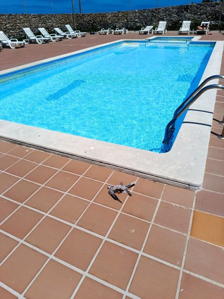 WOT Peniche Pinhalmar-旅行者