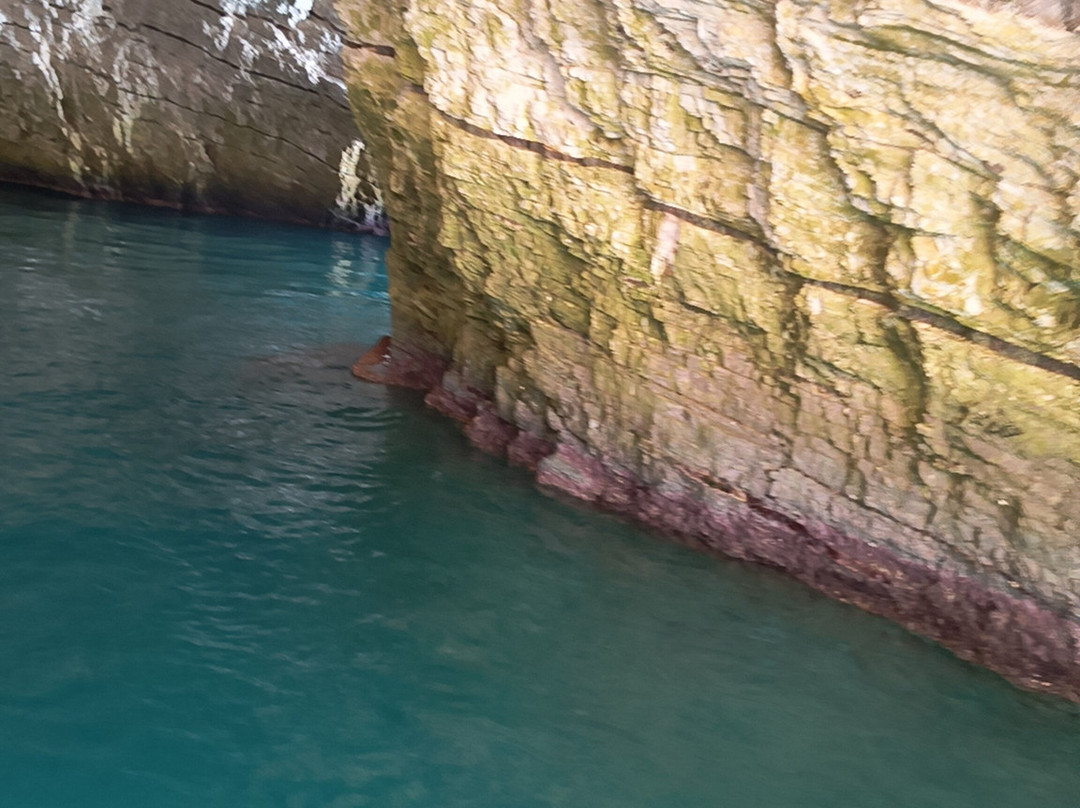 Costante Nicola Agenzia Tour Delle Grotte-佩斯基奇必去景点