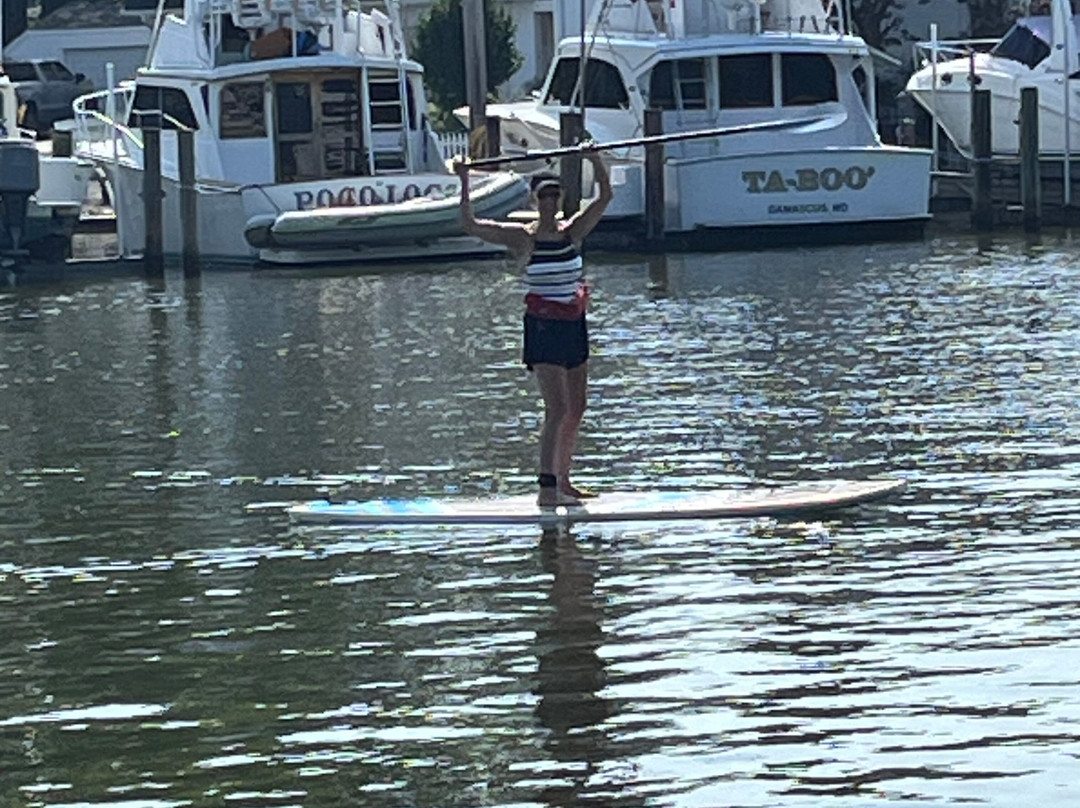 Chesapeake Paddle Sports-Deale必去景点