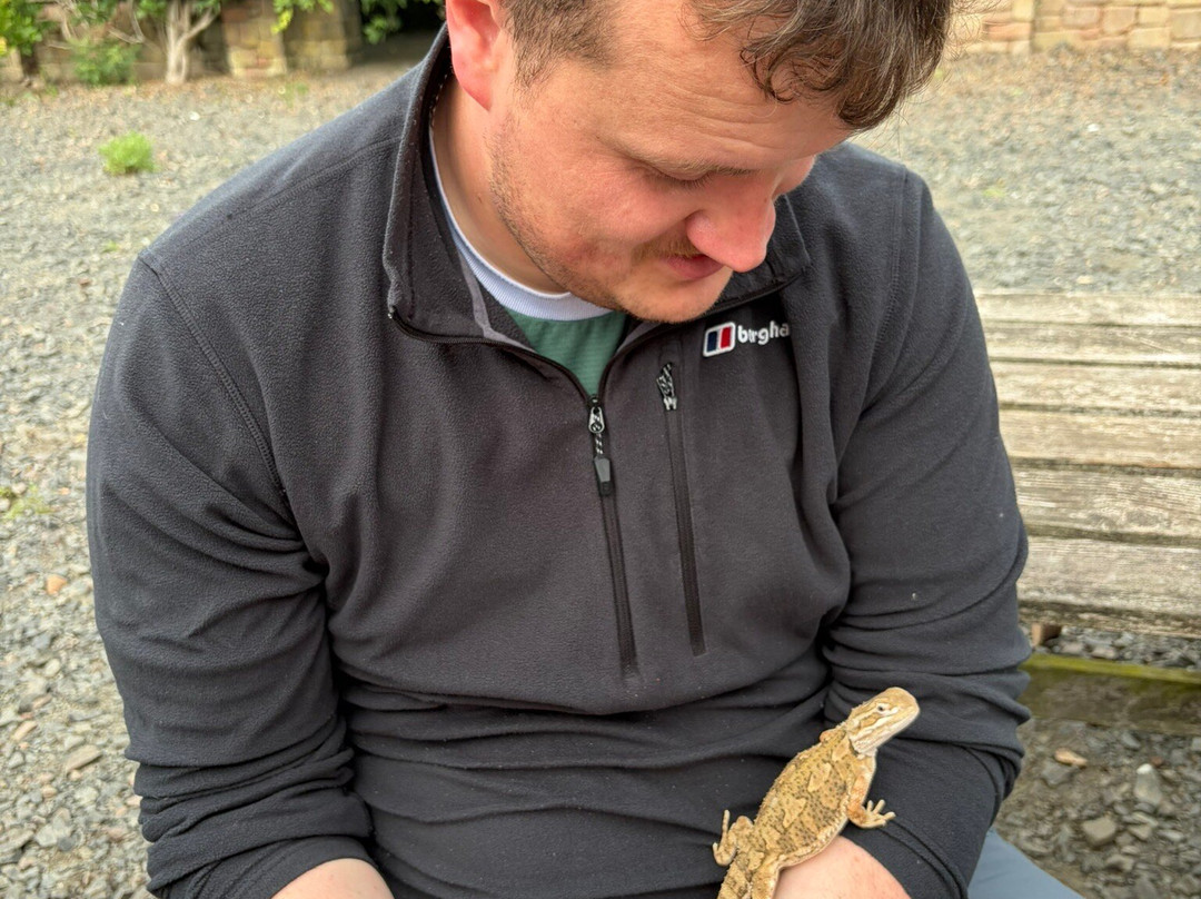 Andy Howeys Birds of Prey Centre-特威德河畔贝里克必去景点