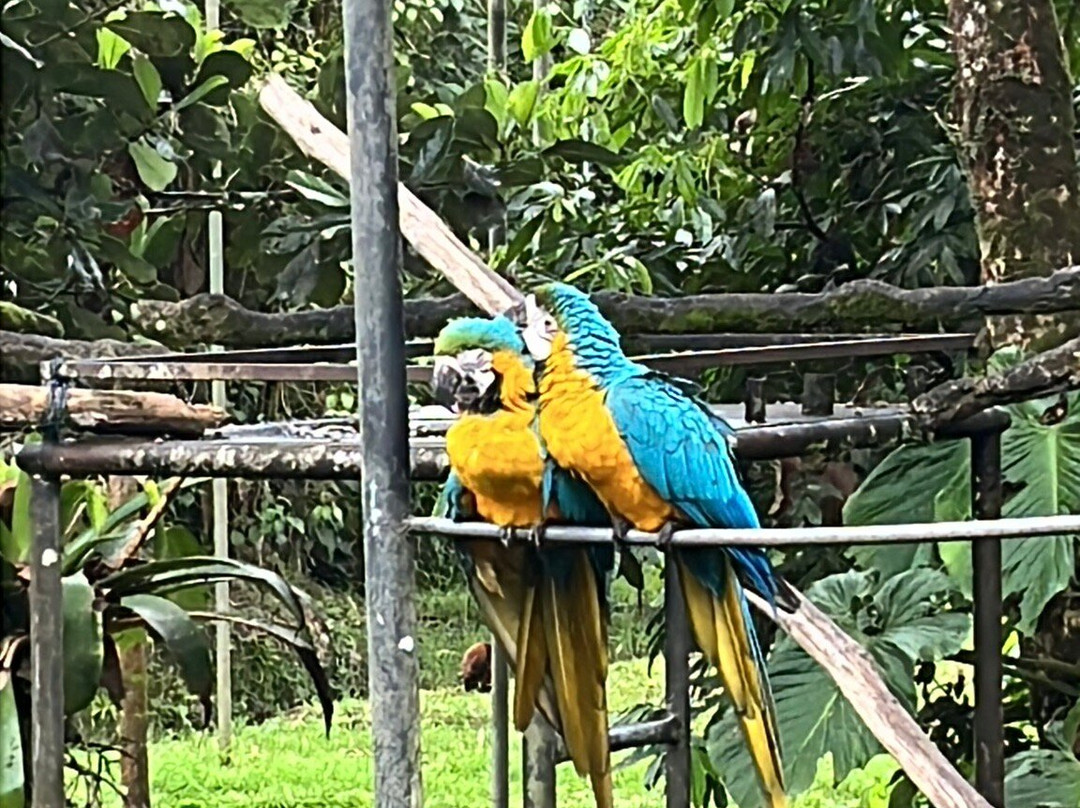 BioParque Yanacocha-Puyo必去景点