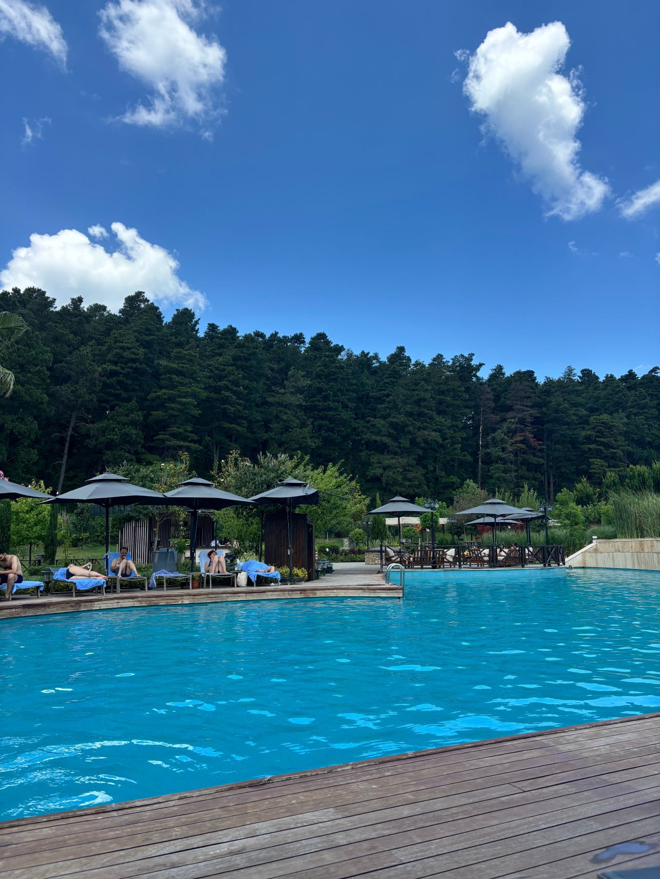 Elite World Grand Sapanca-旅行者