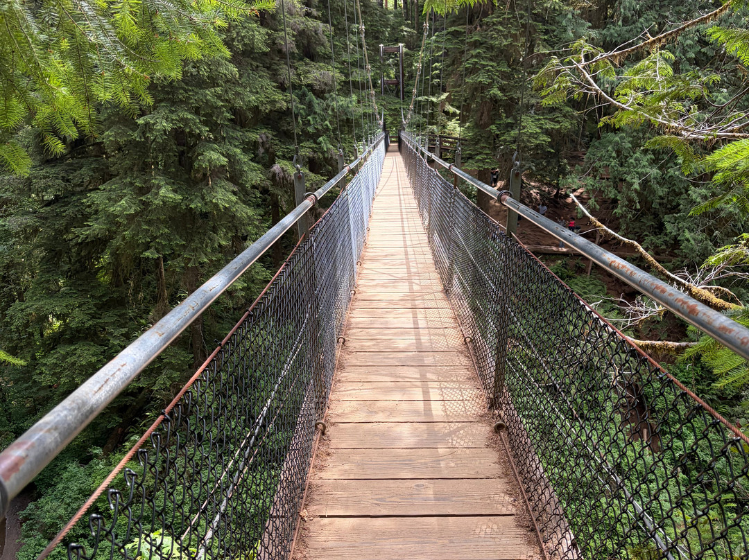 Drift Creek Falls Trail-Otis必去景点