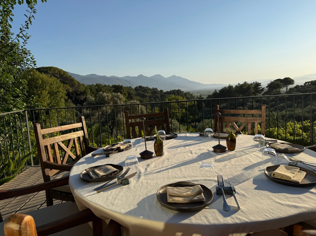 PINUA Rooms & Table