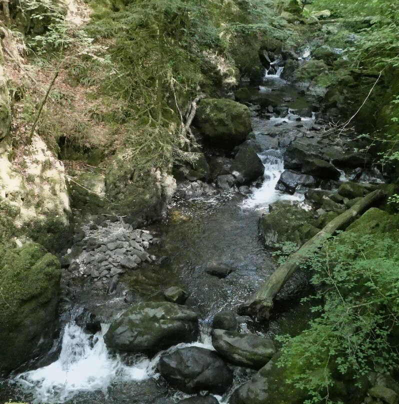 Torrent Walk-Dolgellau必去景点
