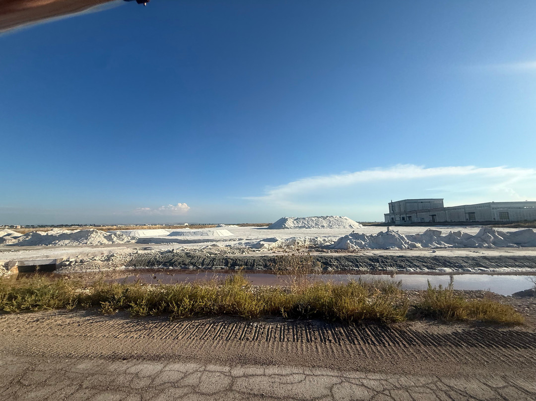 Riserva Naturale di Stato Saline di Margherita di Savoia-Margherita di Savoia必去景点