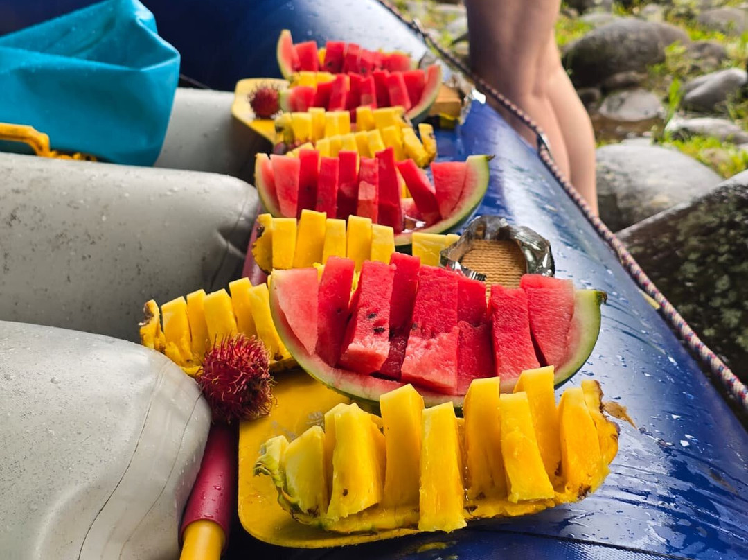 Green Rivers Rafting & Kayaking Company-Puerto Viejo de Sarapiqui必去景点