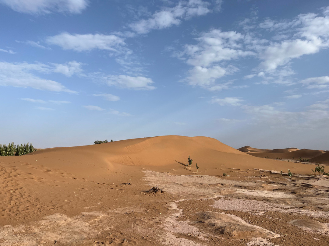 Desert Candles-迈哈米德必去景点