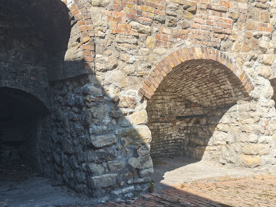 Ironbridge Gorge Walking Tours: The Professor's Original-Ironbridge必去景点