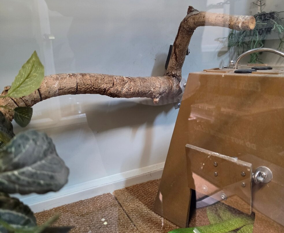 Reptile Garden-开普敦中心区必去景点