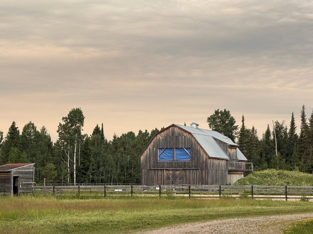 Cochrane Polar Bear Habitat-Cochrane必去景点