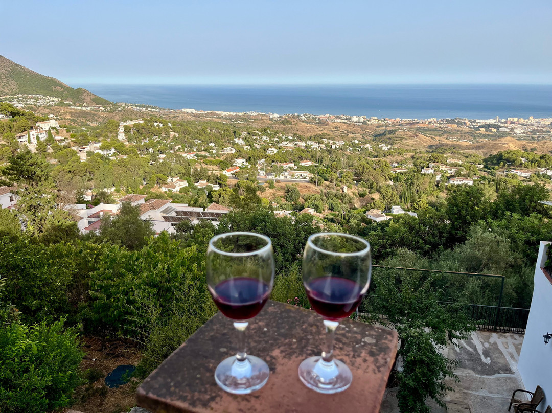 Dreolino Winery-Rufina必去景点