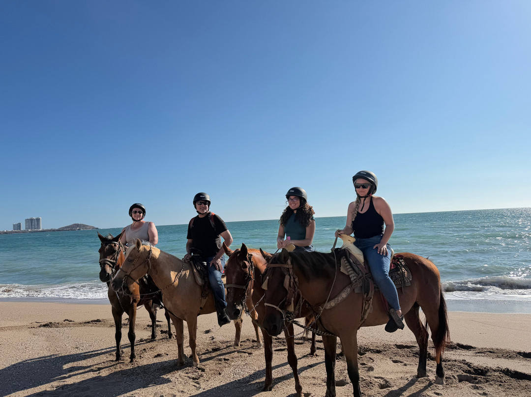Mazatlan Tours-马萨特兰必去景点