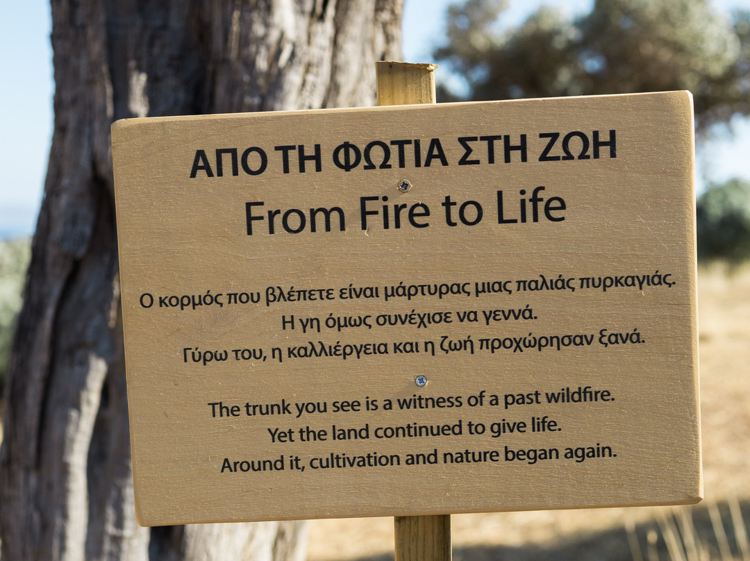 Botaniá - Mediterranean Herb Farm & Experiences-Agia Galini必去景点