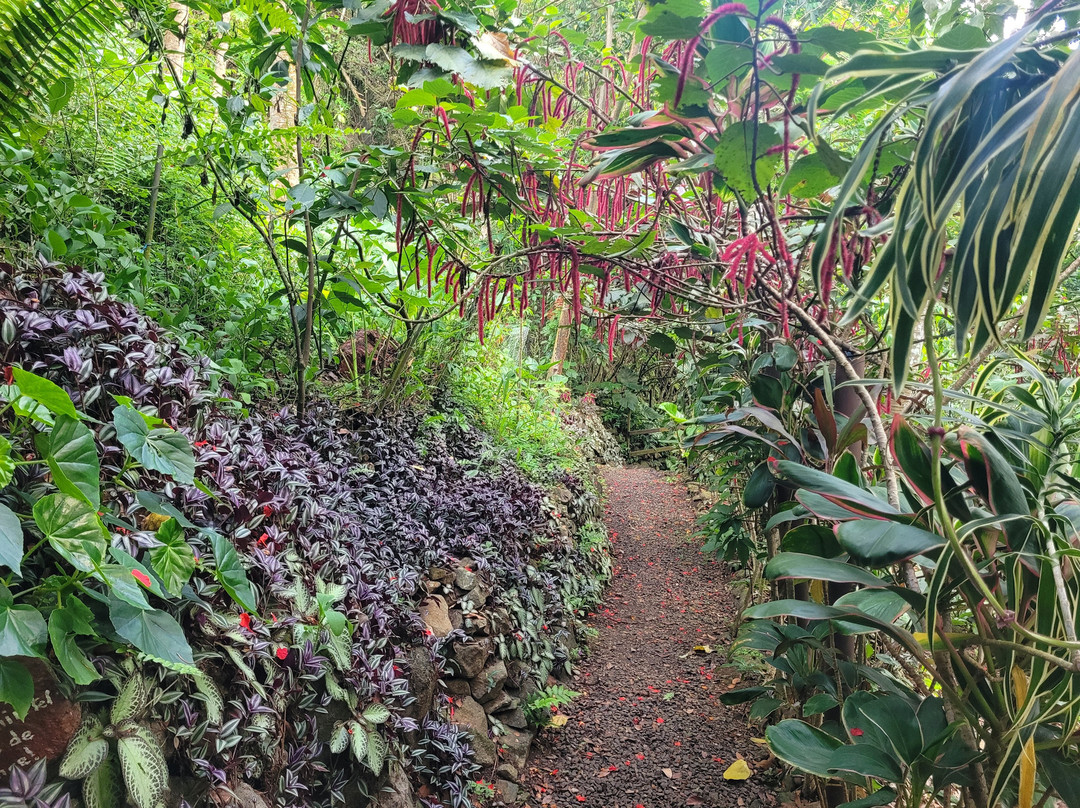 An Mao Jardin Paysager & Historique-Le Marin必去景点