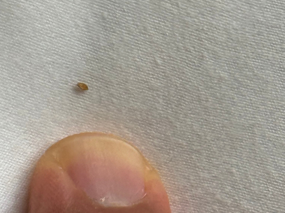 拉芙琳哈拉斯娱乐场酒店主图