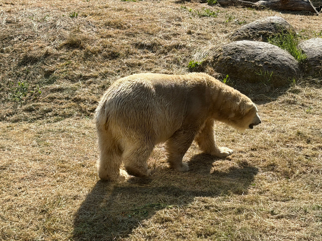 Parc Zoologique & Botanique de Mulhouse-米卢斯必去景点