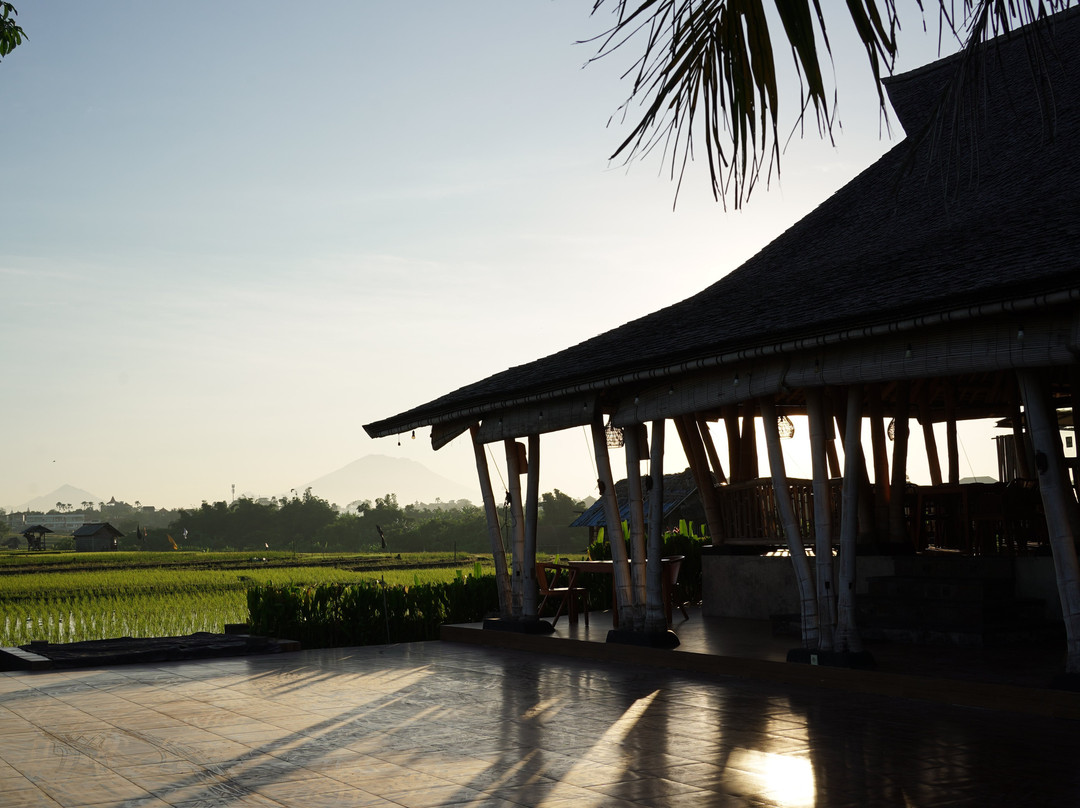 Padi Club and Restaurant