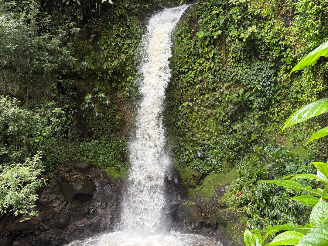 Manakin Waterfalls Nature Reserve.-Tilaran必去景点