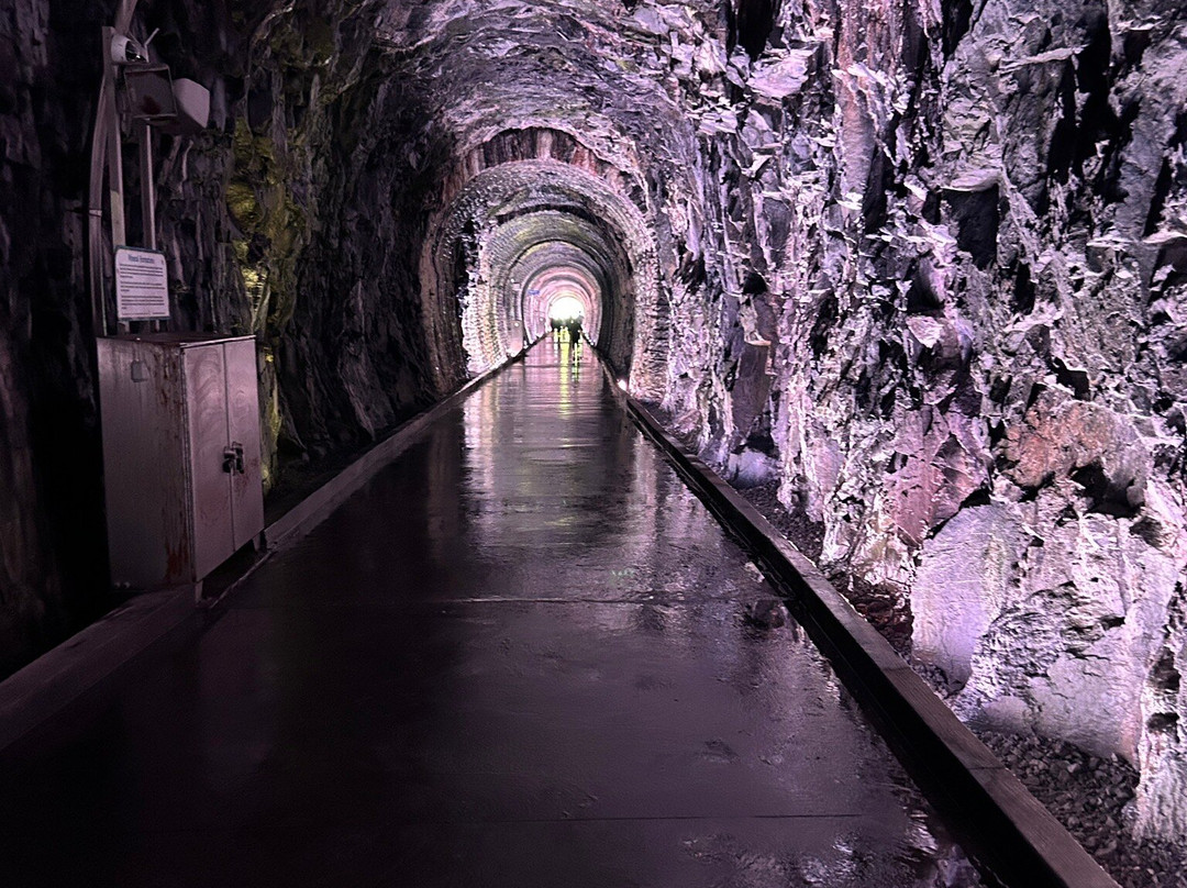 Brockville Railway Tunnel-布罗克维尔必去景点