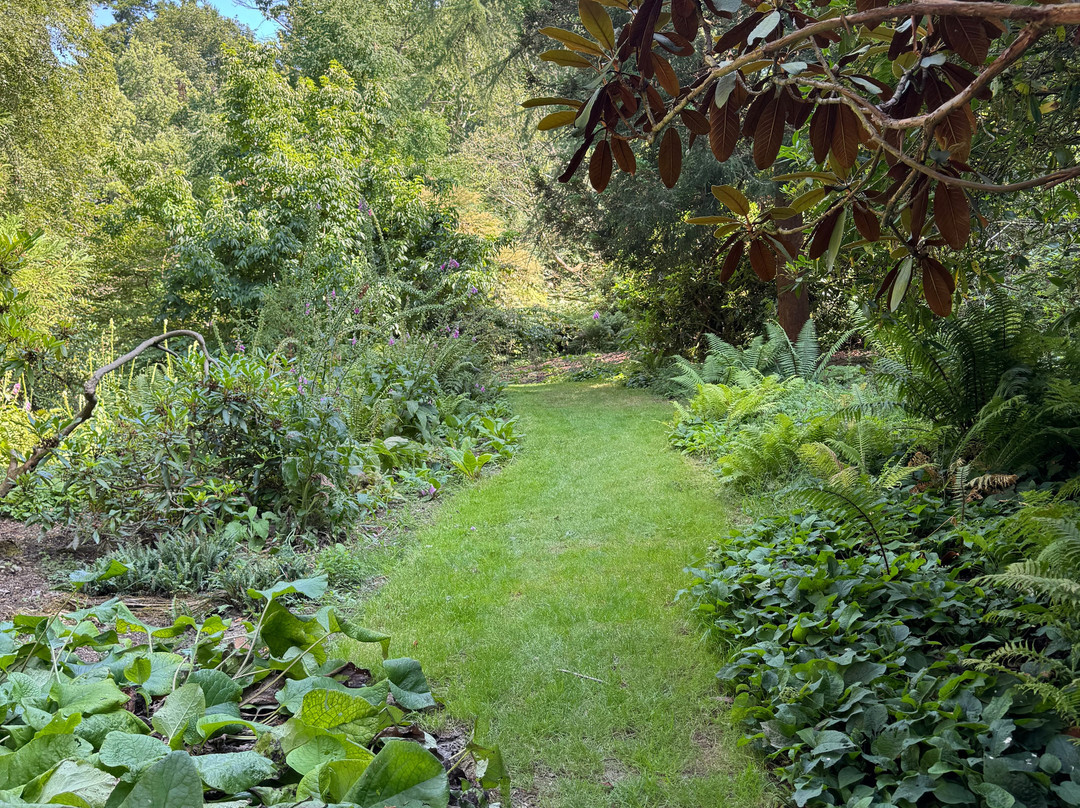 Belsay Hall Castle And Gardens-Belsay必去景点