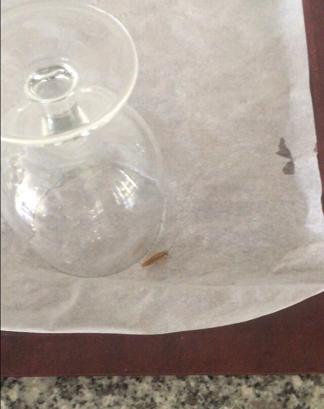 巴利亚唐佩德罗俱乐部酒店主图