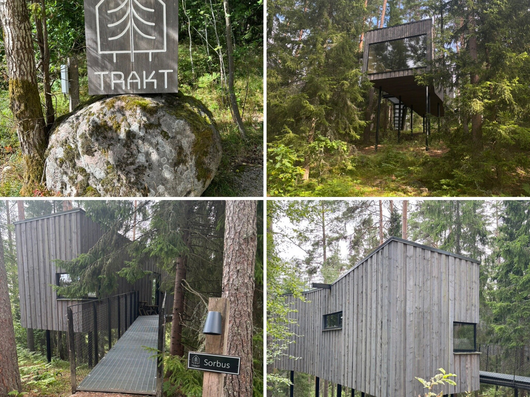 Trakt Forest Hotel主图