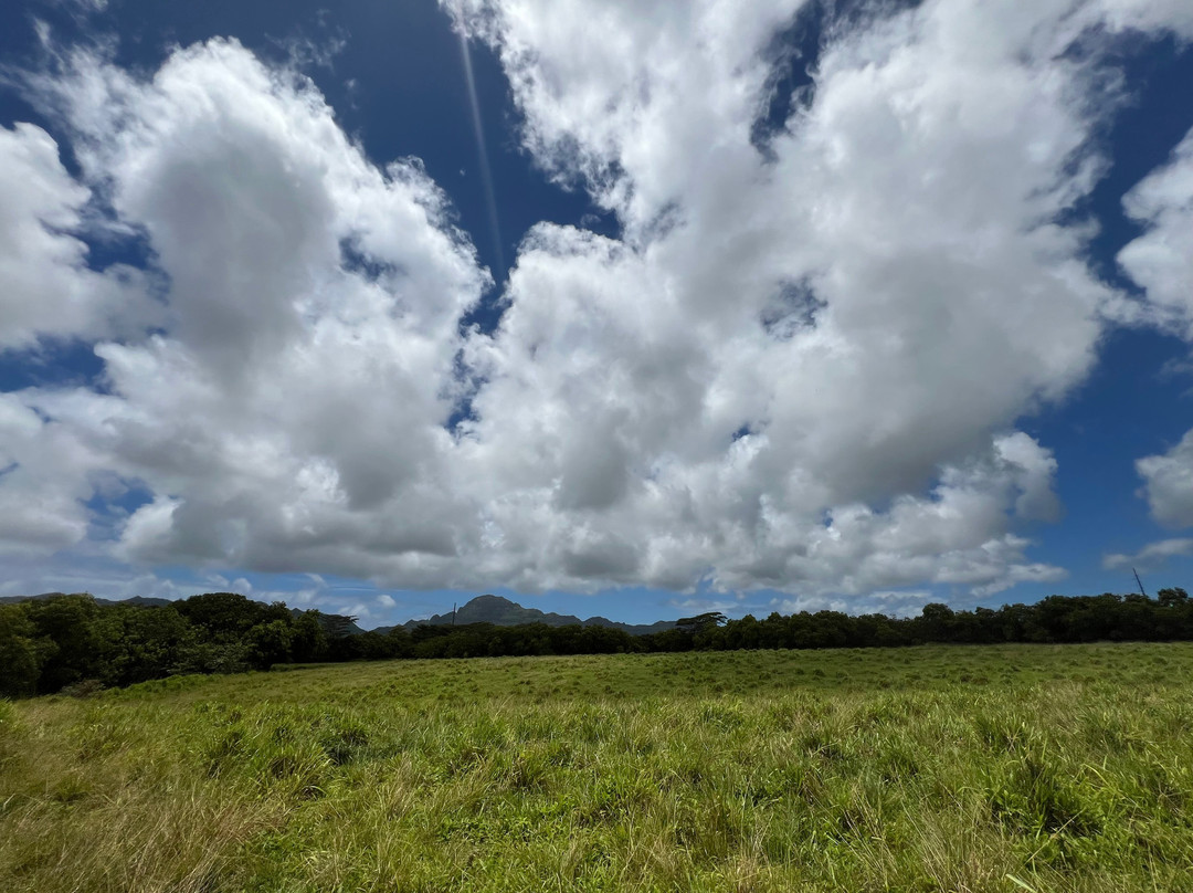 Kilohana Plantation-利胡埃必去景点