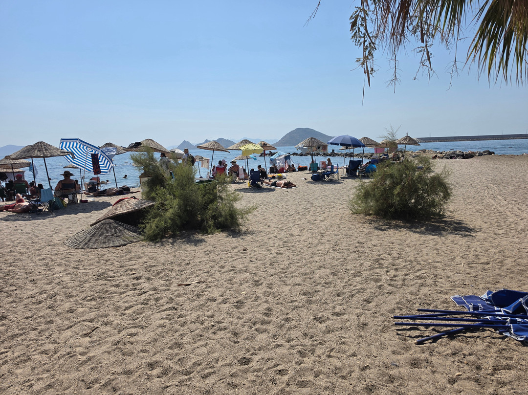 Turgutreis Market-Turgutreis必去景点