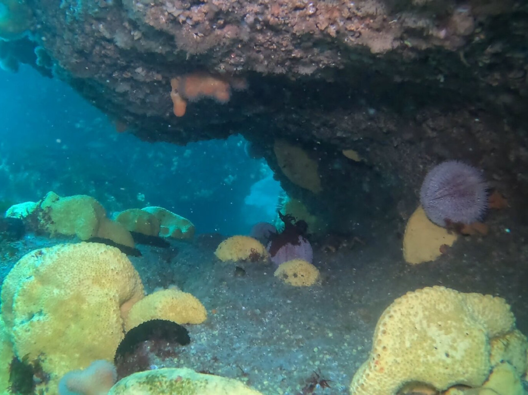 Dive Aran-Inishmore必去景点