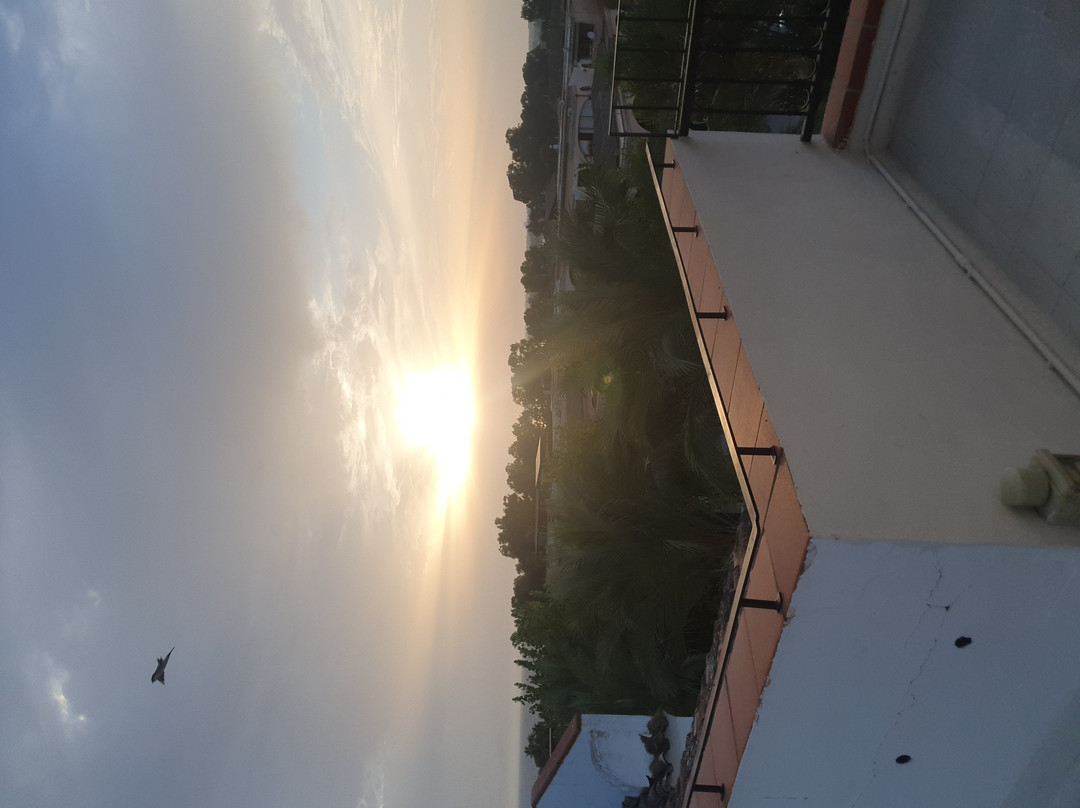 Phi Hotel Sighientu主图