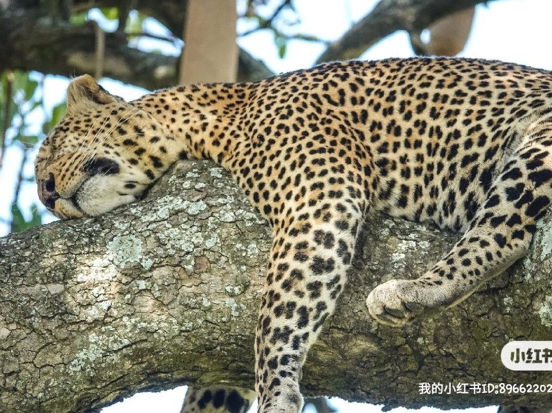 Livan Cultural Tourism Enterprises-Tanzania