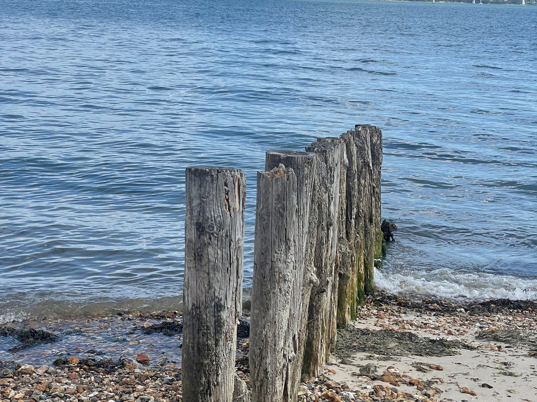 Lepe Country Park-Lepe必去景点