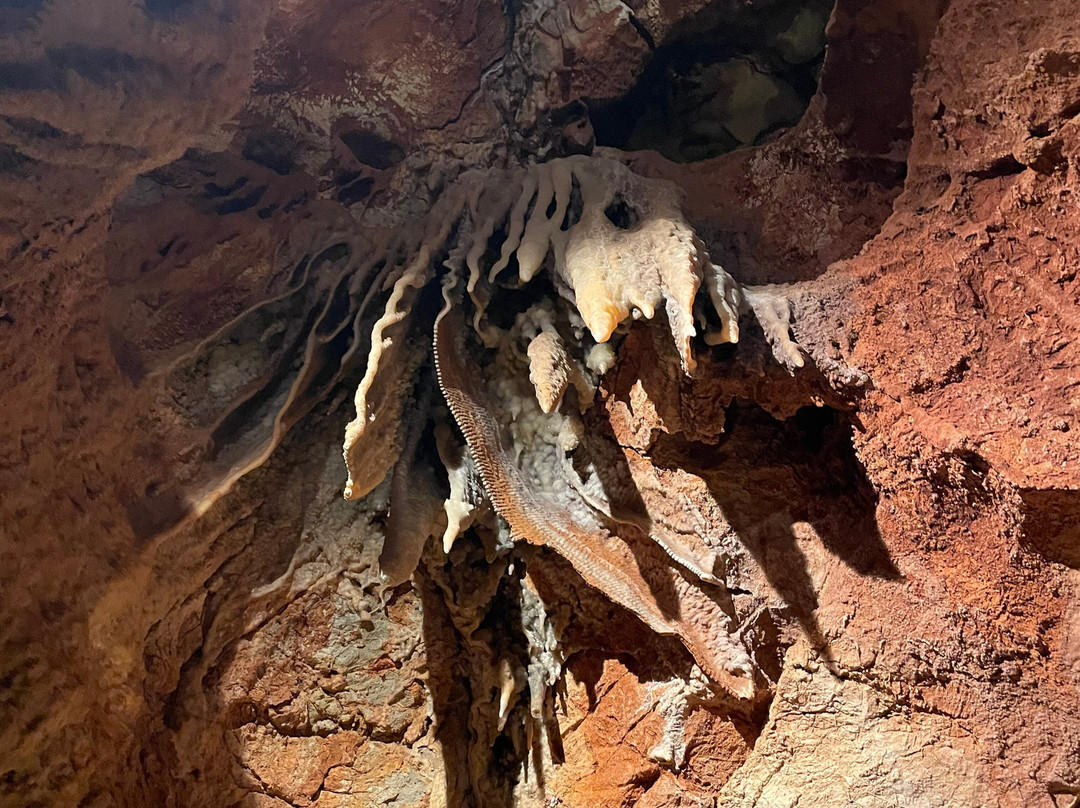 Wellington Caves & Phosphate Mine-Wellington必去景点