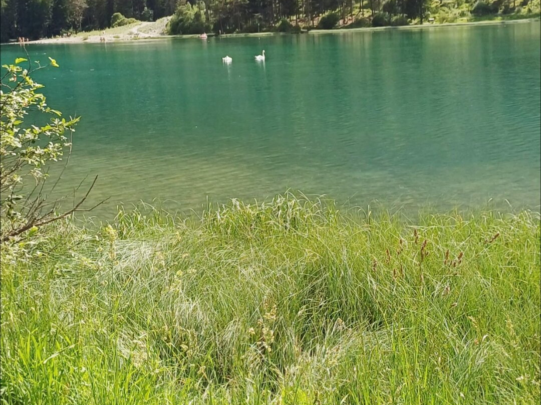 Lago di Dobbiaco-多比亚科必去景点