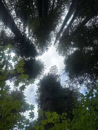 Simpson-Reed Trail-克雷森特城必去景点