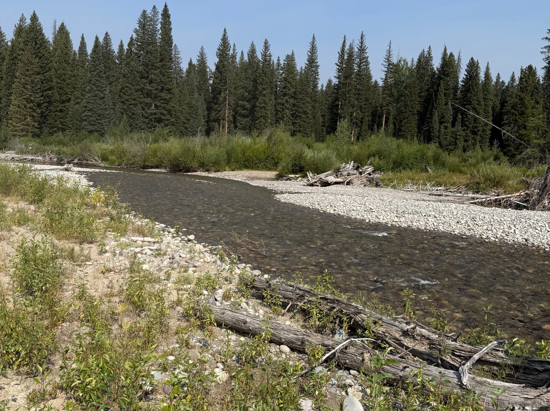 Swift Creek Outfitters & Teton Horseback Adventures-莫兰必去景点