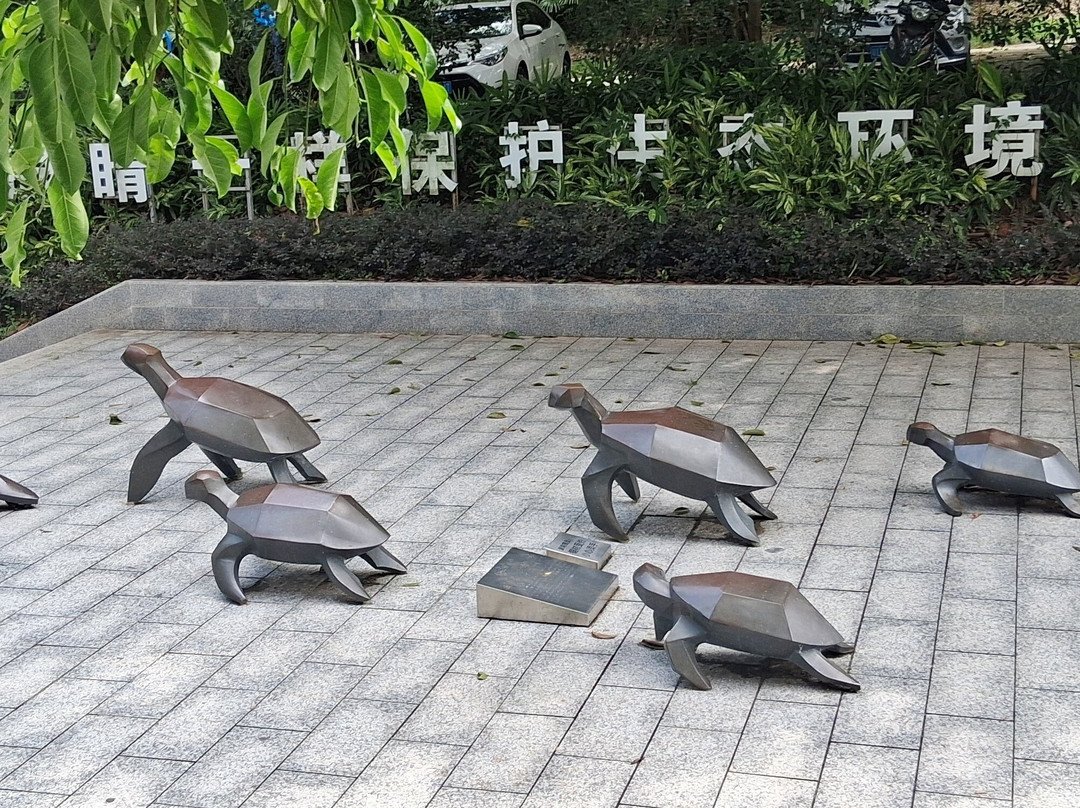 惠州海龟自然保护区-惠东县必去景点