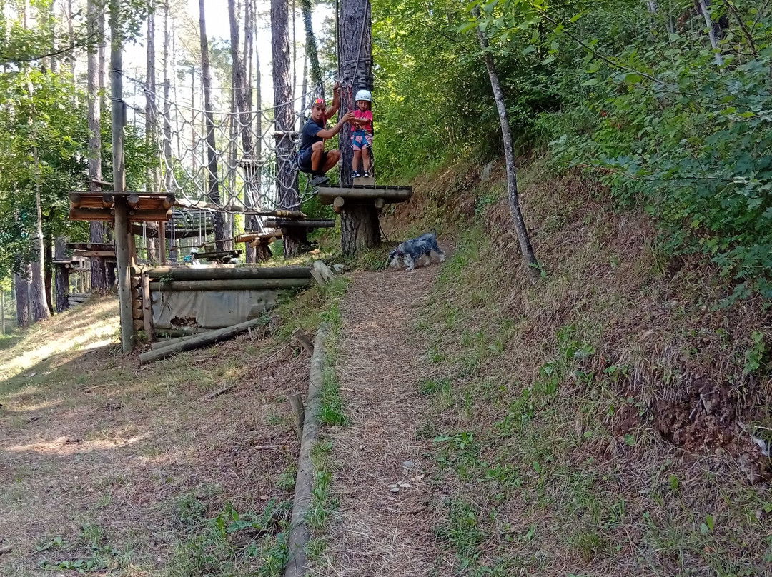 Parc d'Aventures del Catllaras-拉波夫拉德利列特必去景点