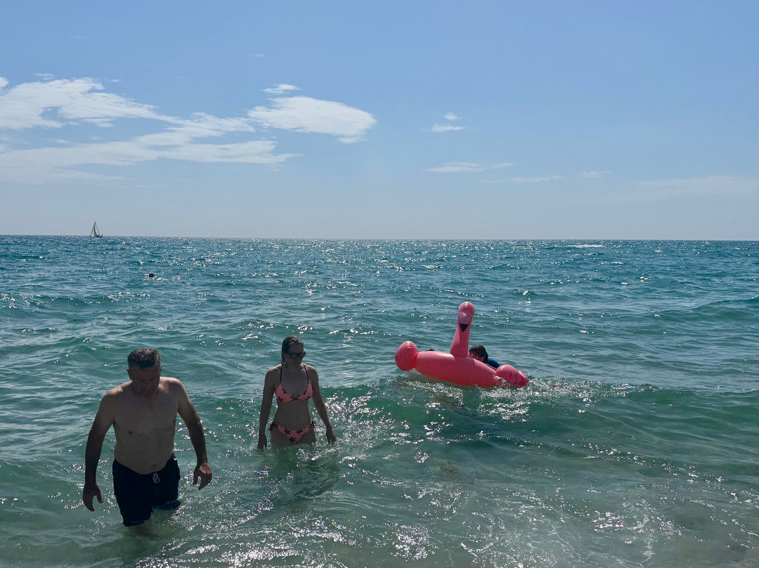 Leucate Plages-Leucate必去景点